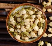 鮮茉莉花怎么炮制成茶？