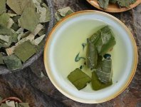 荷葉茶為什么叫短命茶？