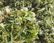 臨沂特產(chǎn)送人必買清單？