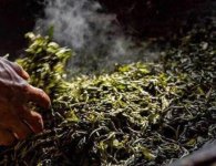 炒茶葉的四大步驟？